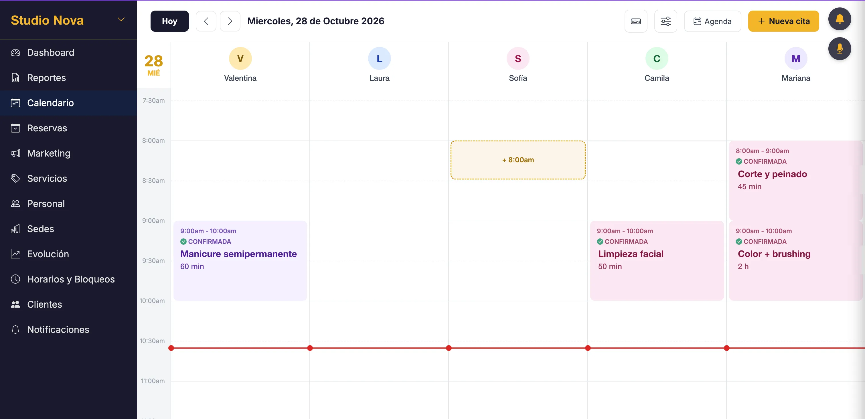 Agenda de Breviis en el computador: citas del día por profesional